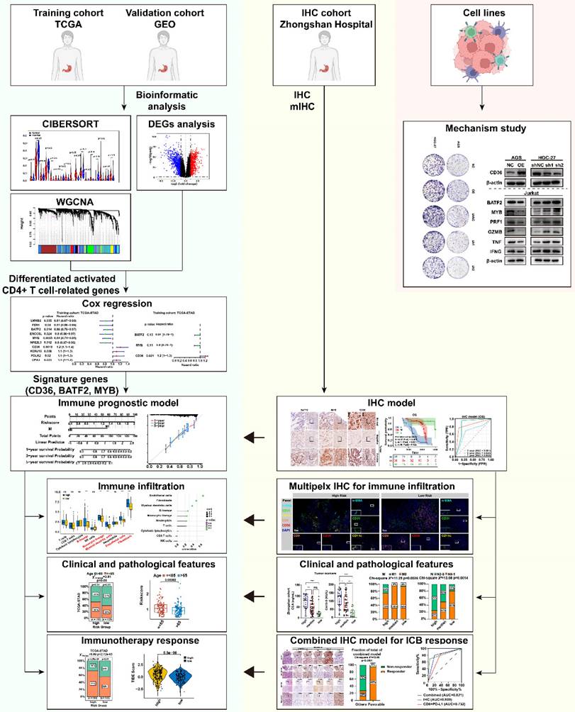 Int J Biol Sci Image