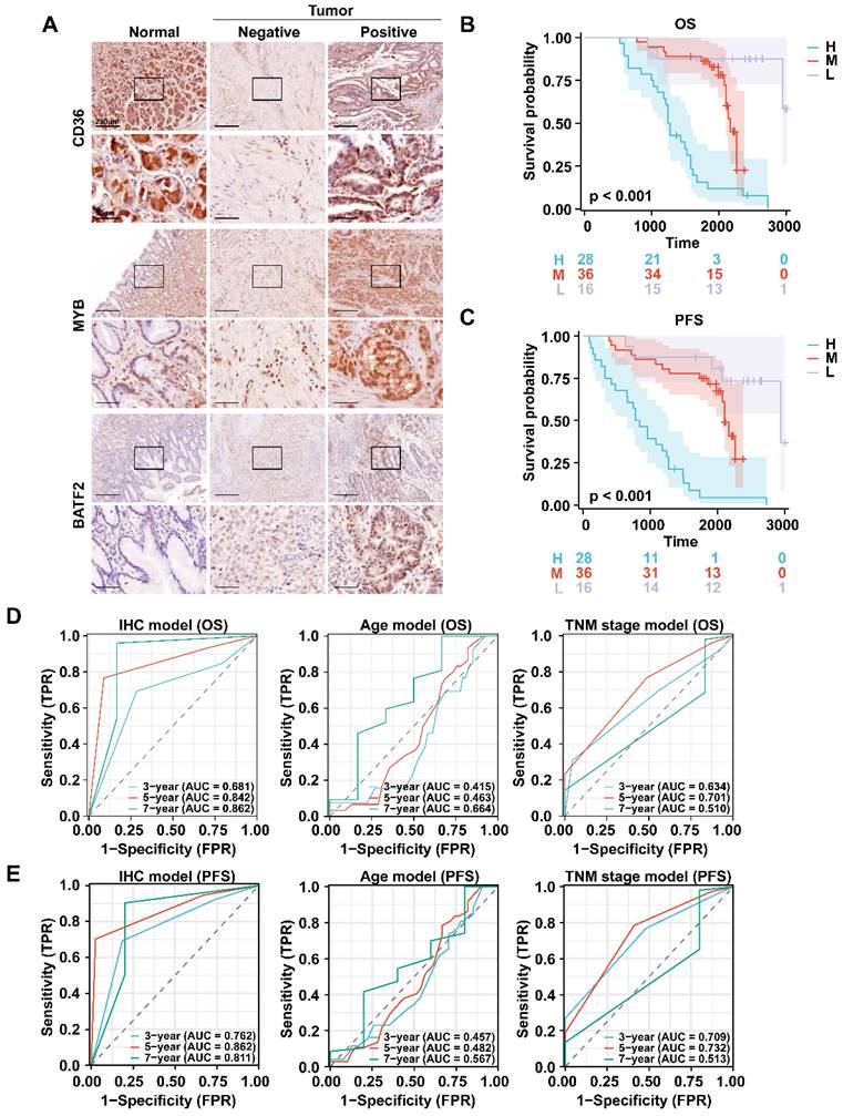 Int J Biol Sci Image