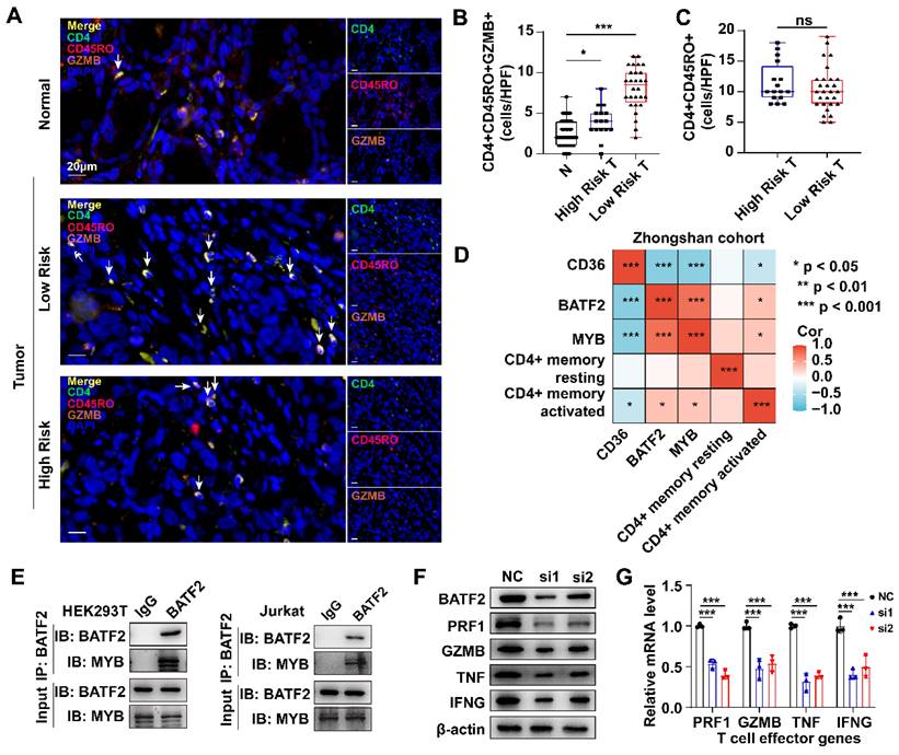 Int J Biol Sci Image