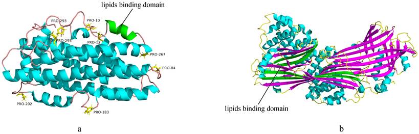 Int J Biol Sci Image