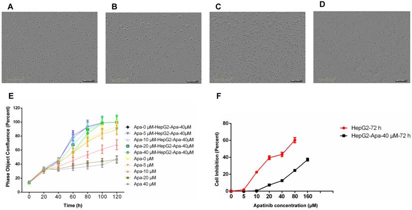 Int J Biol Sci Image