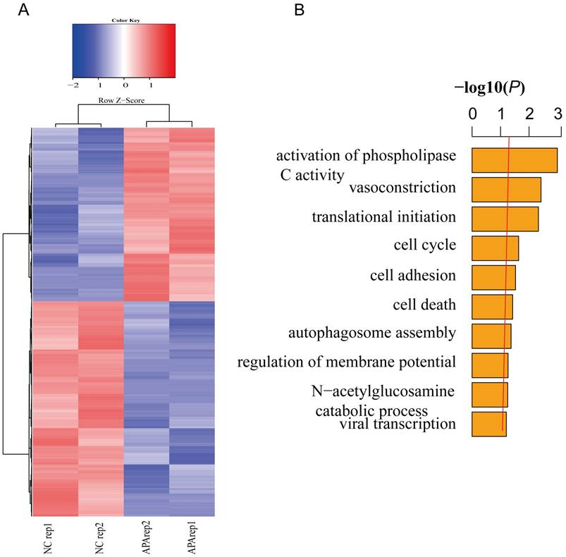 Int J Biol Sci Image