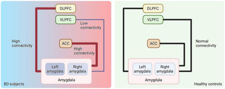 Int J Biol Sci Image