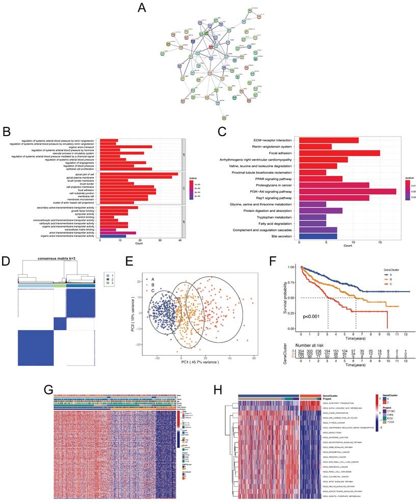 Int J Biol Sci Image