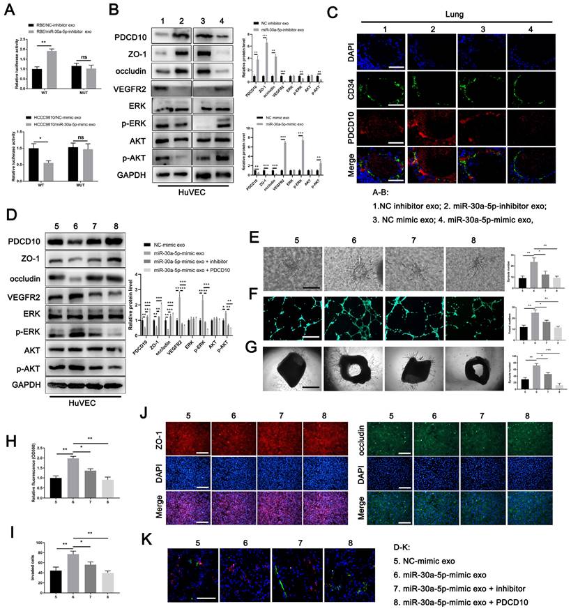 Int J Biol Sci Image