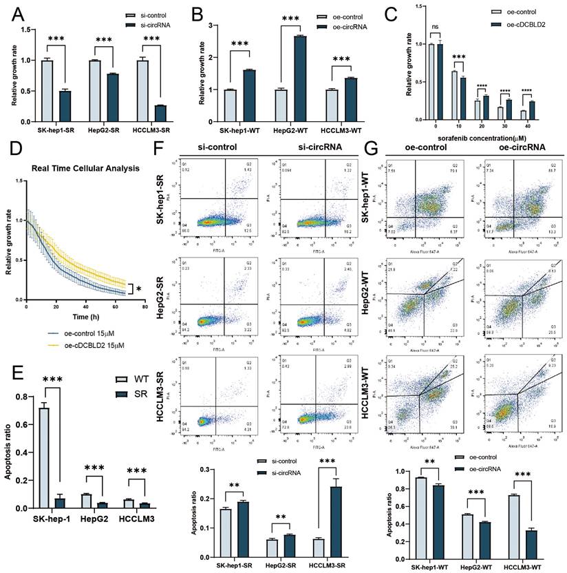 Int J Biol Sci Image