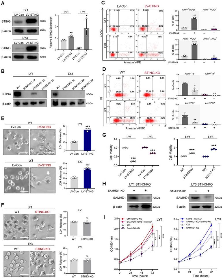 Int J Biol Sci Image