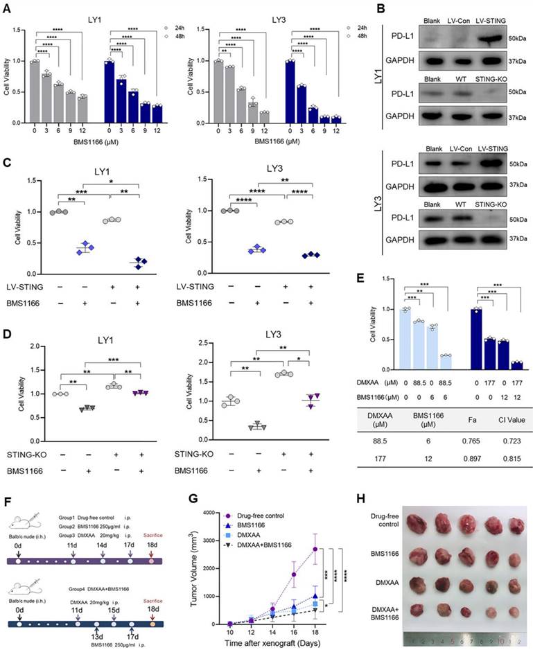 Int J Biol Sci Image