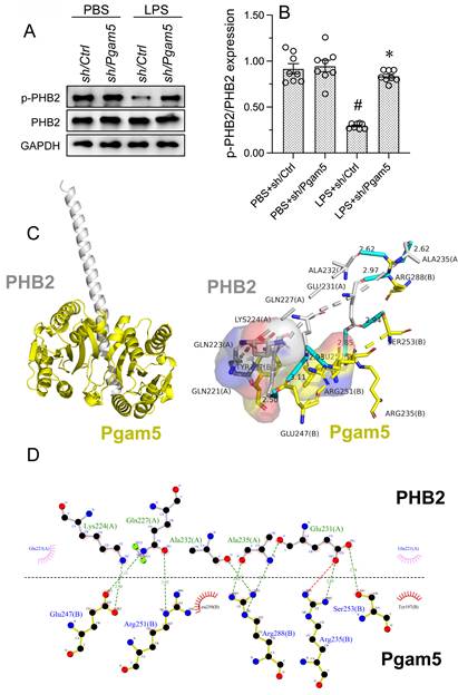 Int J Biol Sci Image