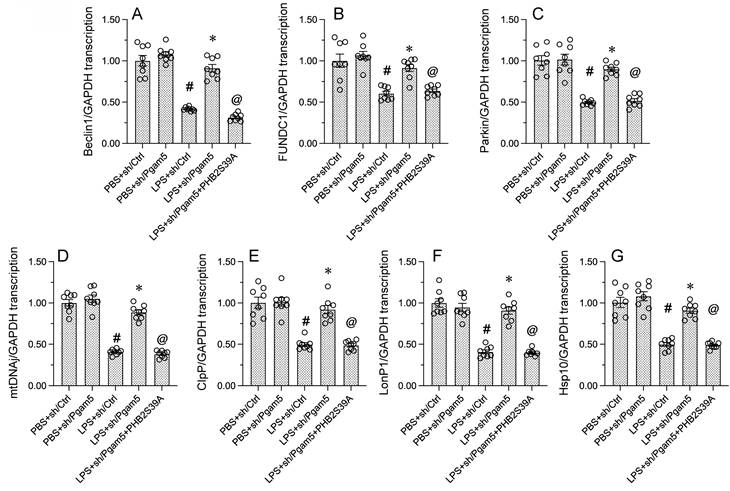 Int J Biol Sci Image