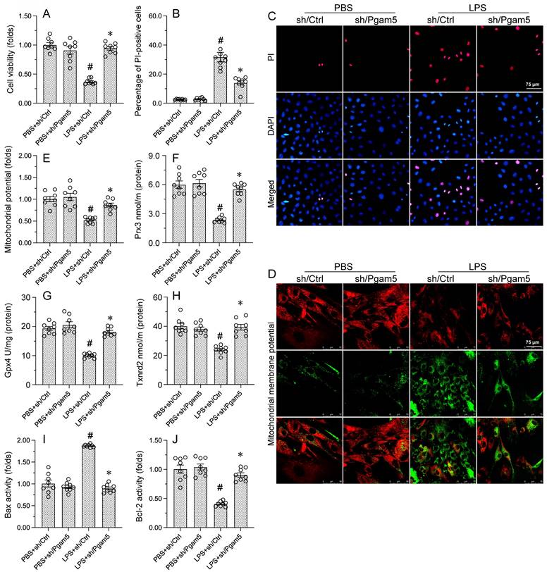 Int J Biol Sci Image