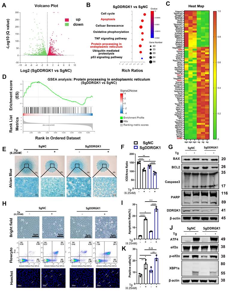 Int J Biol Sci Image