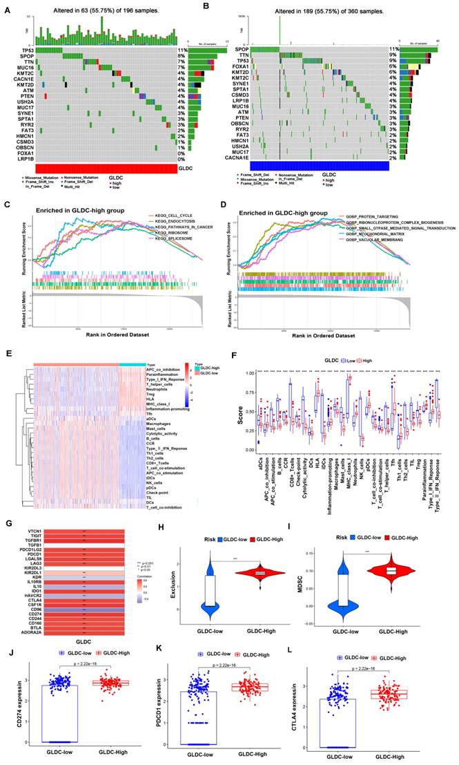 Int J Biol Sci Image