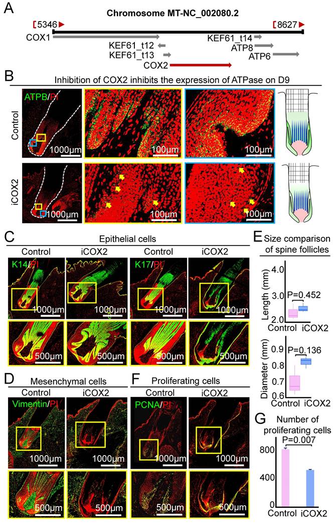 Int J Biol Sci Image