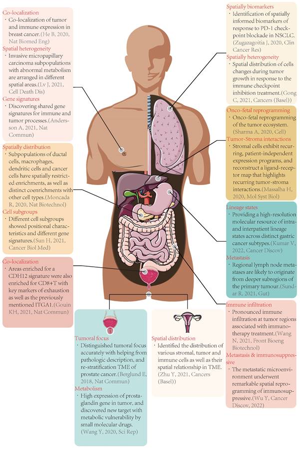 Int J Biol Sci Image