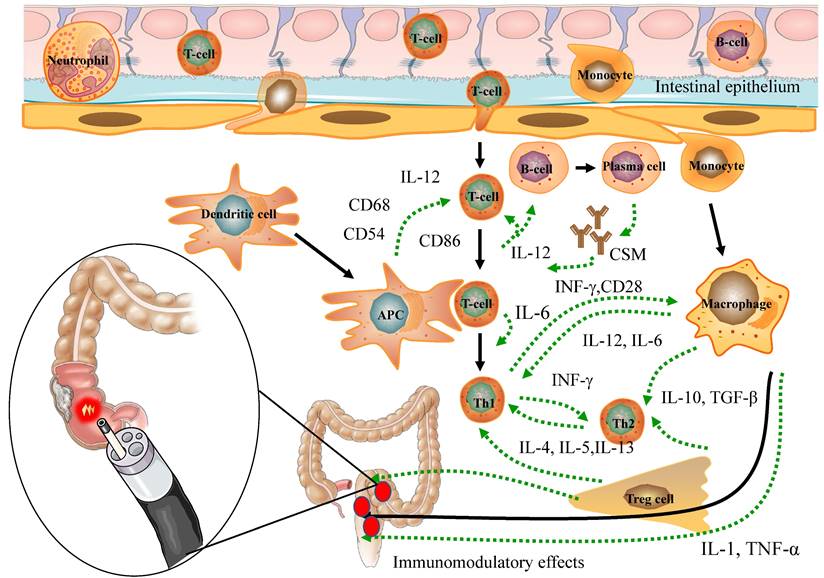 Int J Biol Sci Image