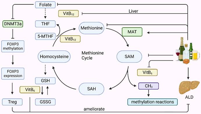 Int J Biol Sci Image