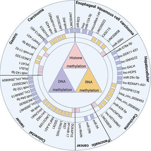 Int J Biol Sci Image