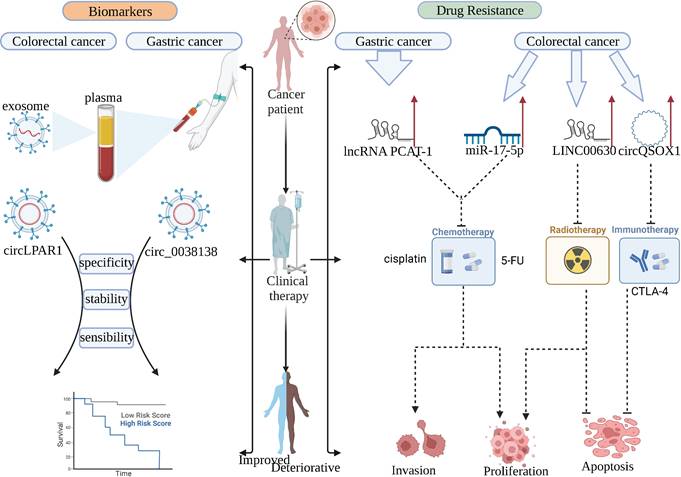 Int J Biol Sci Image