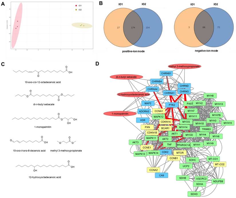 Int J Biol Sci Image