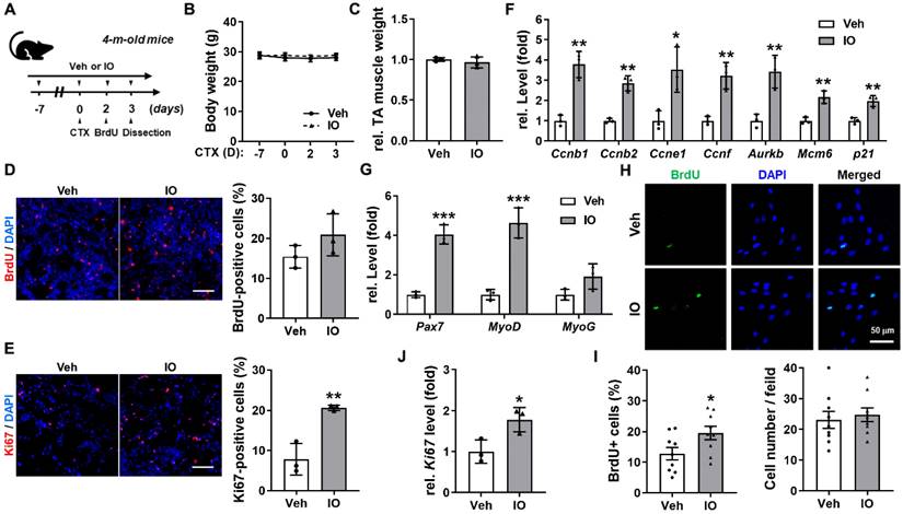 Int J Biol Sci Image