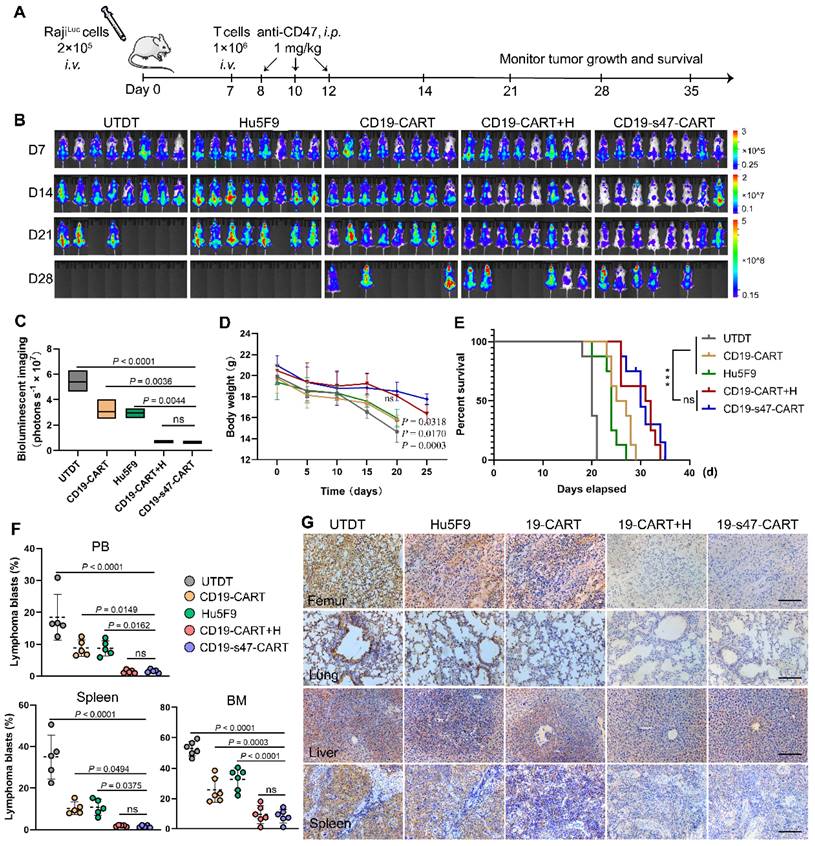 Int J Biol Sci Image