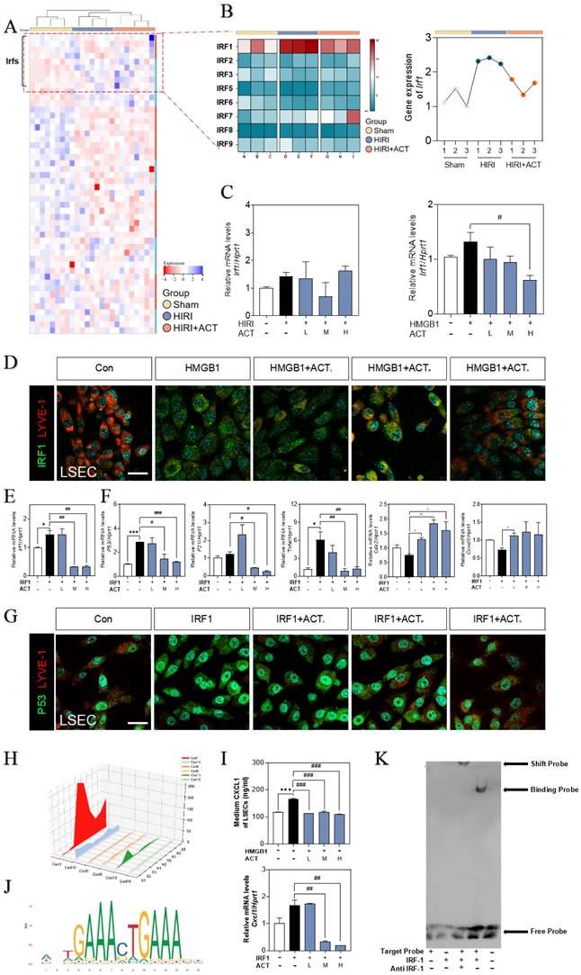 Int J Biol Sci Image