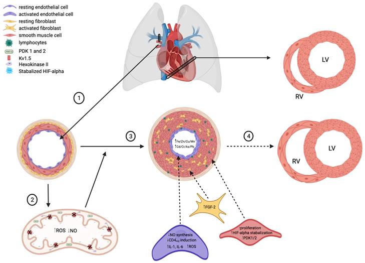 Int J Biol Sci Image