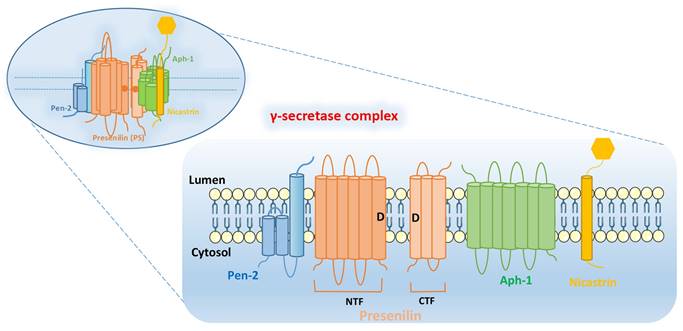 Int J Biol Sci Image