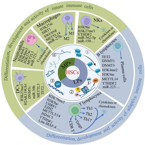 Int J Biol Sci Image