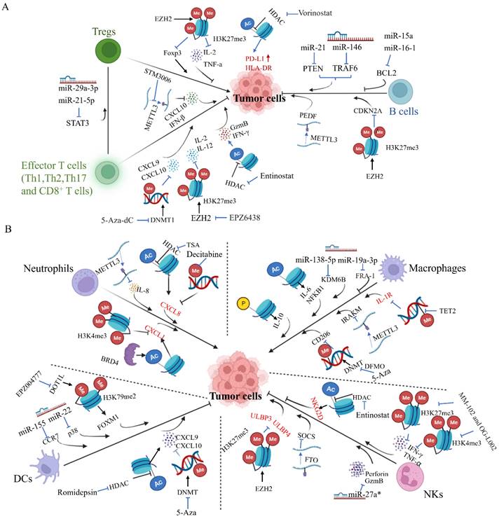 Int J Biol Sci Image