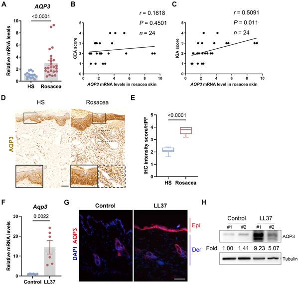 Int J Biol Sci Image