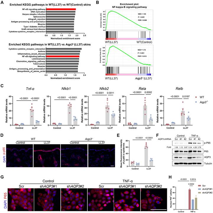 Int J Biol Sci Image