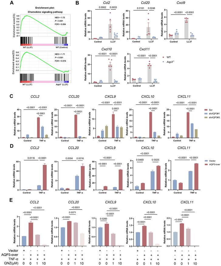 Int J Biol Sci Image