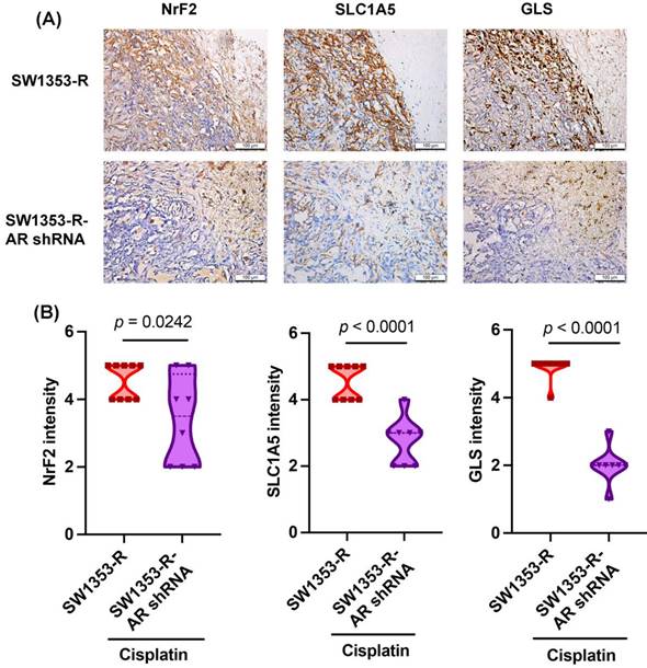 Int J Biol Sci Image