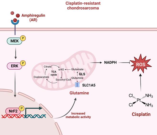 Int J Biol Sci Image