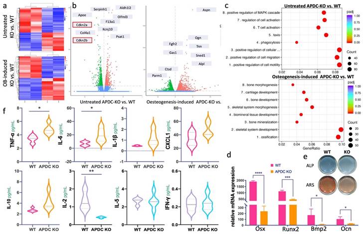 Int J Biol Sci Image