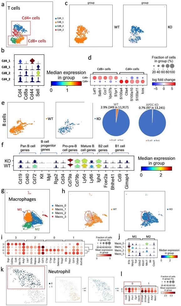 Int J Biol Sci Image