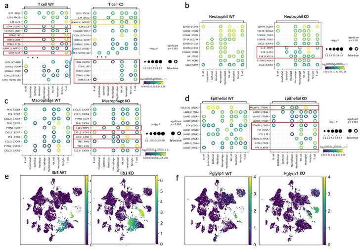 Int J Biol Sci Image