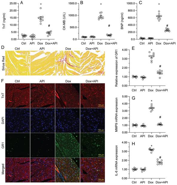 Int J Biol Sci Image