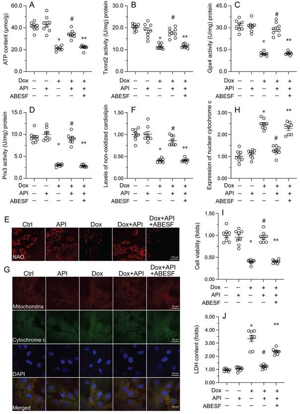 Int J Biol Sci Image