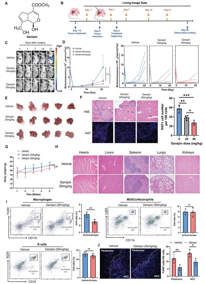 Int J Biol Sci Image