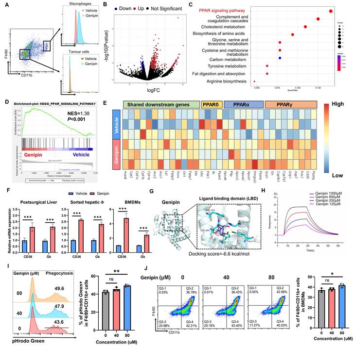 Int J Biol Sci Image