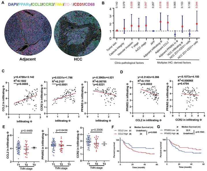 Int J Biol Sci Image