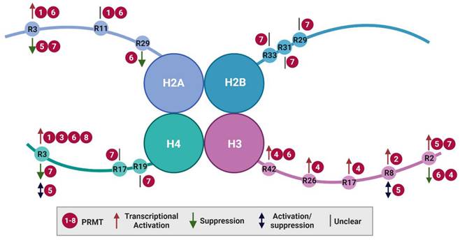 Int J Biol Sci Image