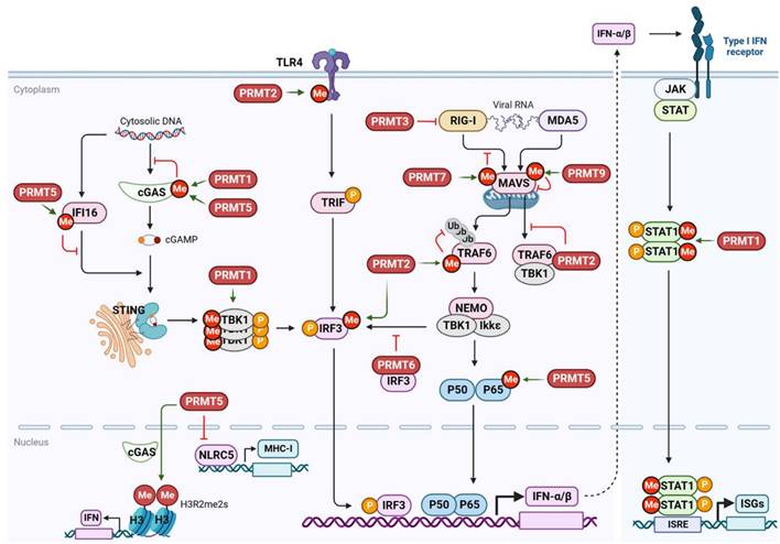 Int J Biol Sci Image