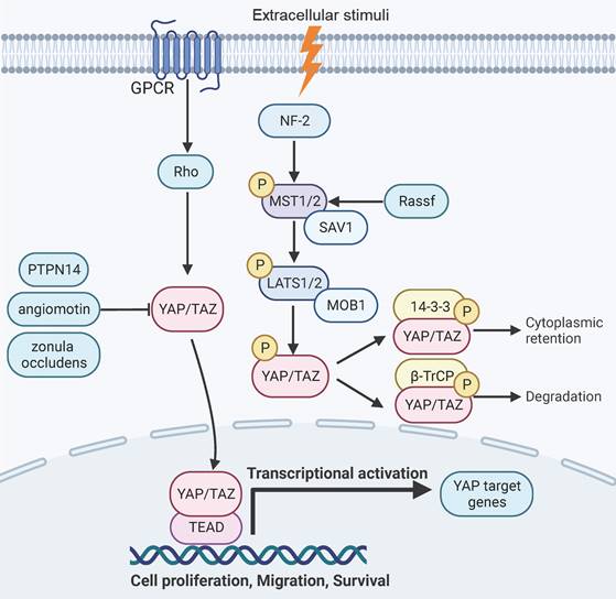 Int J Biol Sci Image