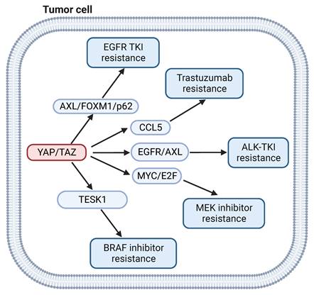 Int J Biol Sci Image