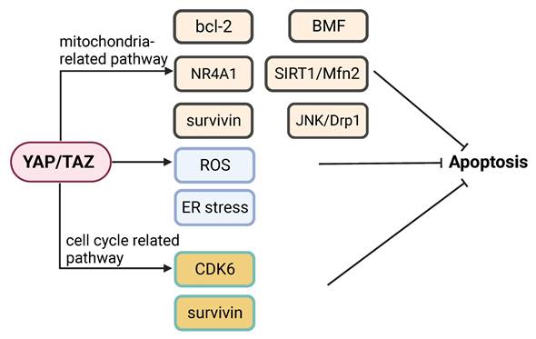 Int J Biol Sci Image