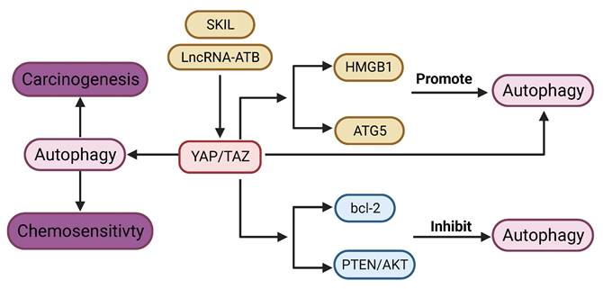 Int J Biol Sci Image